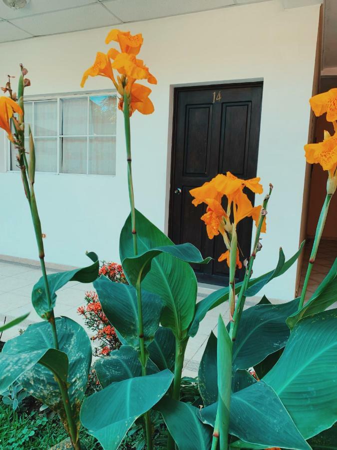 Hotel Santa Elena Antiguo Cuscatlán Kültér fotó